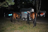 Policjant szykuje konia do służby podczas zabezpieczenia meczu