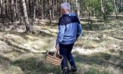Mężczyzna z koszykiem dłoni idzie przez las
