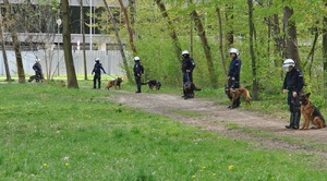 Przewodnicy psów służbowych czuwający nad bezpieczeństwem podczas meczu.