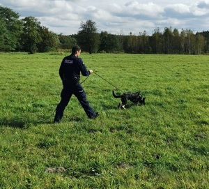 Policjant z psem służbowym podczas poszukiwań.
