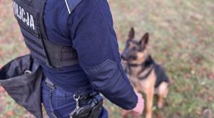 Policjant i pies służbowy podczas ćwiczeń.