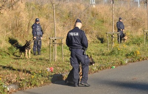Przewodnicy psów wraz z czworonogami podczas zabezpieczenia meczu, stoją na trawie.
