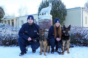 Policjanci biorący udział w zatrzymaniu nietrzeźwego kierującgo