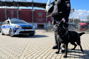 Pies służbowy na tle stadionu i policyjnego radiowozu.