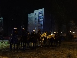 Patrole konne policji z Komendy Powiatowej Policji w Tomaszowie Mazowieckim i Straży Miejskiej w Łodzi.