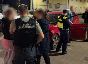 Funkcjonariusze służb mundurowych i Urzędu Miasta Łodzi w trakcie kontroli pojazdu.