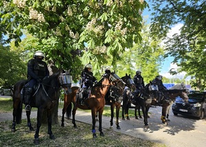 Patrole konne policji z Komendy Powiatowej Policji w Tomaszowie oraz Straży Miejskiej w Łodzi.