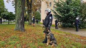 Policyjny przewodnicy psów służbowych oraz policjanci z Oddziału Prewencji Policji w Radomiu w trakcie zabezpieczenia.