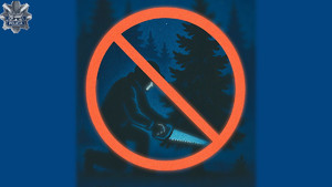 Grafika poglądowa: mężczyzna w nocy próbuje ściąć choinkę - przekreślone.