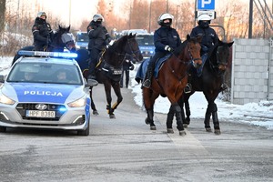 Patrole konne na tle radiowozu.