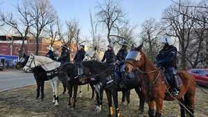 Patrole konne z Komendy Miejskiej Policji w Tomaszowie Mazowieckim i Straży Miejskiej w Łodzi.