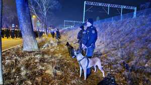 Policyjni przewodnicy psów w trakcie zabezpieczenia.